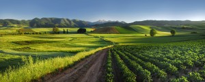 1326982303-300×1211