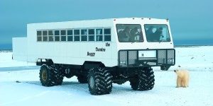 1332158995-300×2001