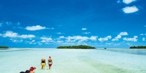1369656694-300×199