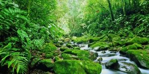 Costa-Rica-Kuba-Foto-DERTOUR1-300×2012