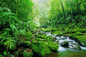 Costa-Rica-Kuba-Foto-DERTOUR1-300×2012