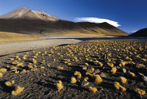 FTI-Atacama-Wüste-bizarre-Felsformationen-und-weite-Ebenen-300×203