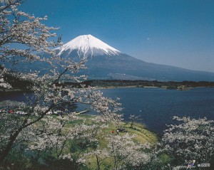 Fuji-300×239