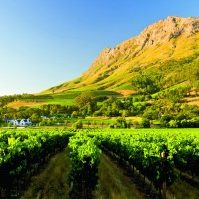 Kultur-Genuss-und-Gaumenfreuden-am-Kap-300×199