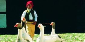 MitTT-LineinsLandvonNilsHolgersson-283×3001