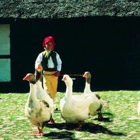 MitTT-LineinsLandvonNilsHolgersson-283×3001