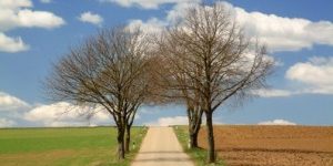 Natur__pp_010402801_00009-300×225