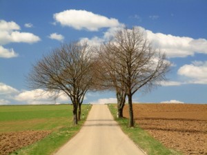 Natur__pp_010402801_00009-300×225