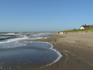 P1030376-300×2251