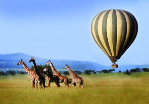 Singita_2-300×209