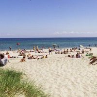 Strand-auf-Falster-300×200