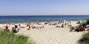 Strand-auf-Falster-300×200