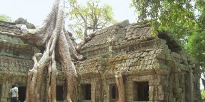 Ta-Phrom-in-Angkor-300×225