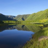 USA-Hawaii-Wanderung-im-Pololu-Valley-gross-300×199
