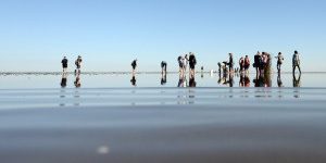 Wattfuehrung_300-300×200