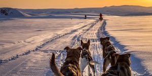 arctic-camp-murkl-alaska-adventures-01-300×188
