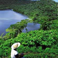 dschungel_costarica-foto-FTI-223×300