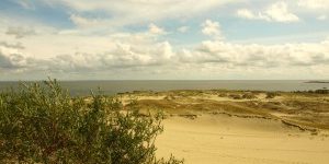 litauen_kurische_nehrung_duene_0-Foto-Schnieder-Reisen-300×225