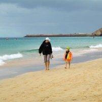 np_080217801-300×201