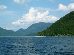 pp_240607301-300×2251