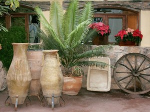 rp_011103702-300×2251