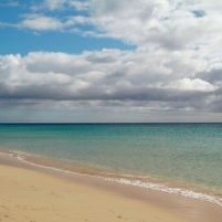 rp_240719601-300×2011