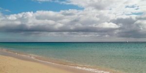 rp_240719601-300×2011