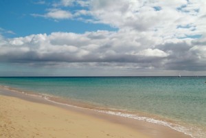 rp_240719601-300×2011
