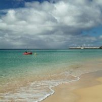 rp_240720101-201×300